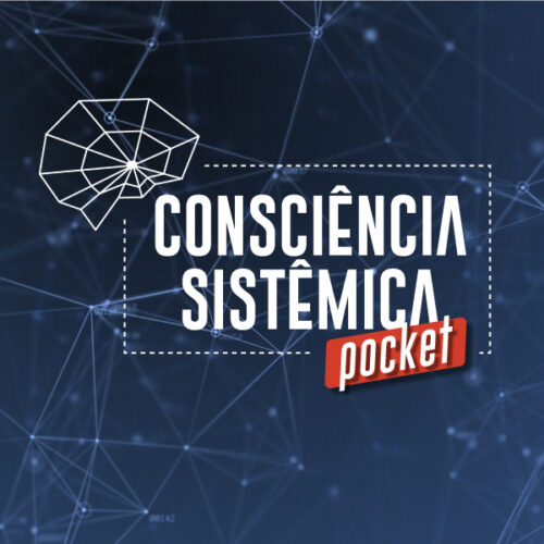 Consciência Sistêmica Pocket  Instituto Ibracs