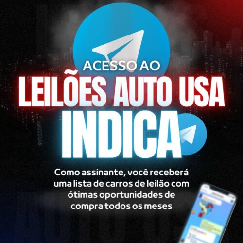 Leilões Auto USA 2023  Ruan Oliveira