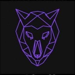 Adobe XD -Origamid