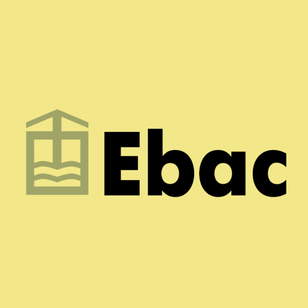 Profissão - Desenvolvedor Full Stack Java - EBAC CURSOS